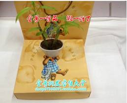 天正恒业 生日福利 天正恒业 生日福利